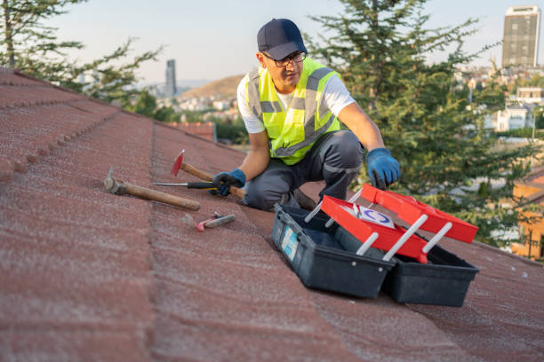 Best Carpet Removal and Disposal  in Rotonda, FL